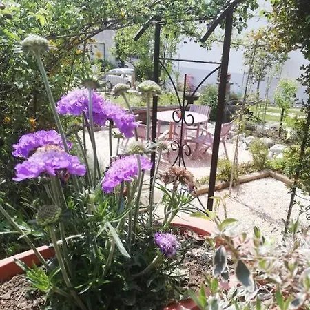 Erica Alpe Adria Apartman