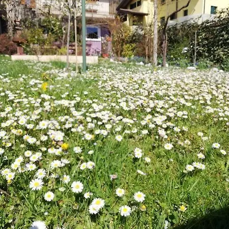Erica Alpe Adria Apartment *